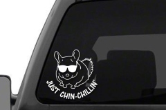Chin-chillin_truck