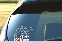 I-Love-My-Tortoise